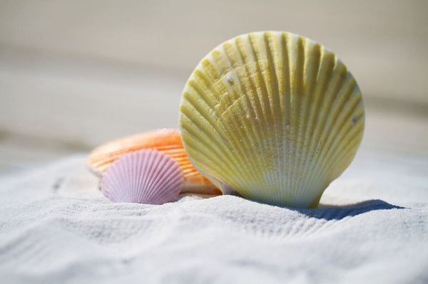 Comment maximiser l'espace dans une petite location de vacances ?
