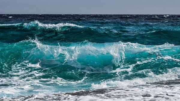 Comment vivre une expérience de pêche en haute mer en Floride ?