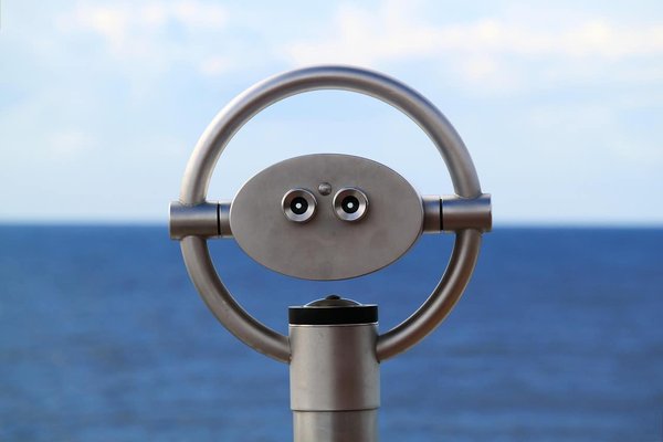 Comment choisir une croisière pour observer la migration des tortues marines ?