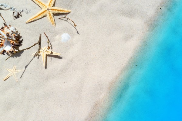 Comment choisir une location de vacances près des parcs d'attractions ?
