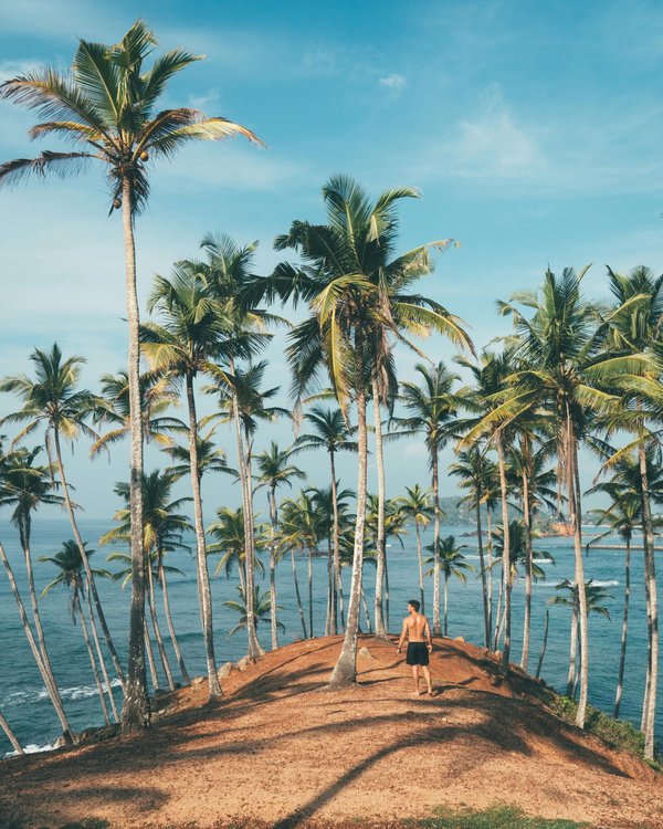 Voyage responsable au Sri Lanka : découvrez une autre culture